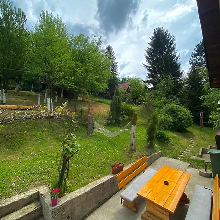 Piccola Foresta