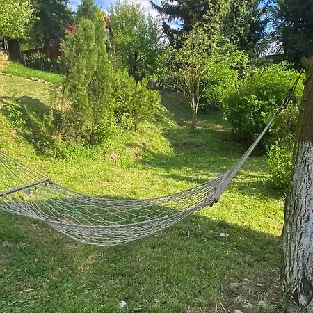 Piccola Foresta